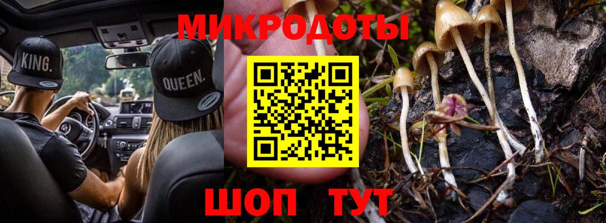 Ижевск  Псилоцибиновые грибы ЛСД  Вход с VPN 