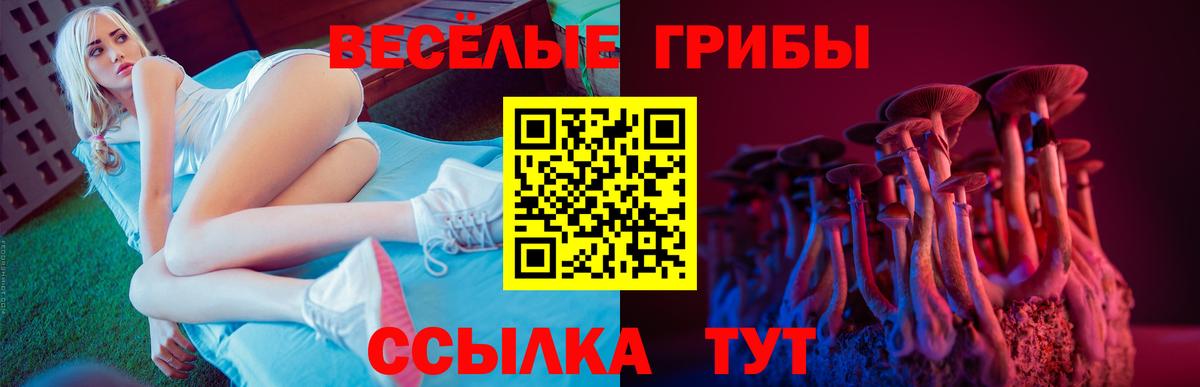 Галлюциногенные грибы Psilocybine cubensis Ижевск